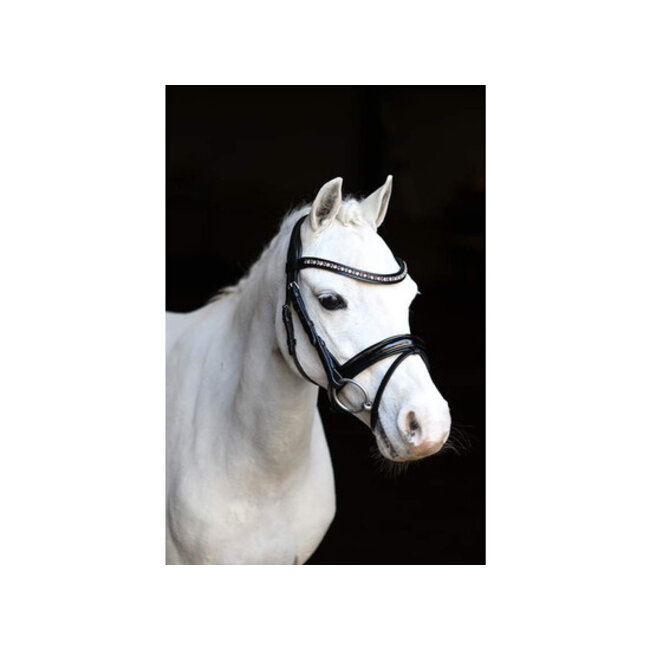 LJ Leathers Hoofdstel Pink Dream