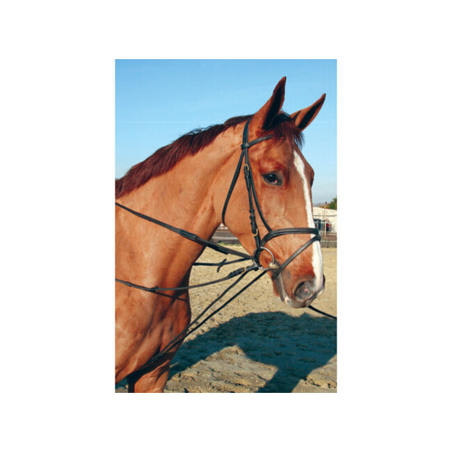 LJ  Leathers Slofteugel leder met koord