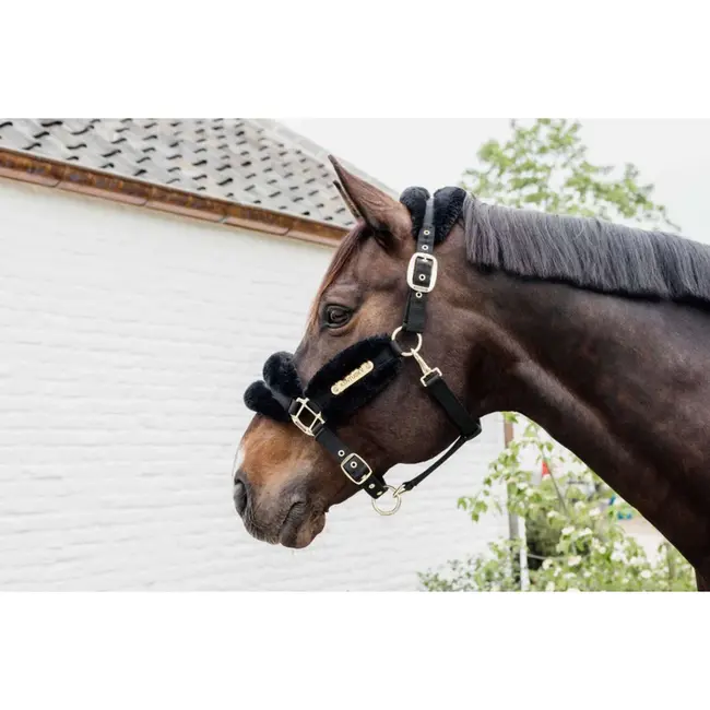 kentucky Nylon halster wol Soft