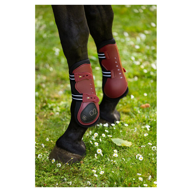 BR Peesbeschermer CLX   X02