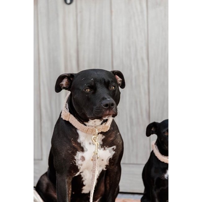 kentucky Hondenhalsband Teddy fleece