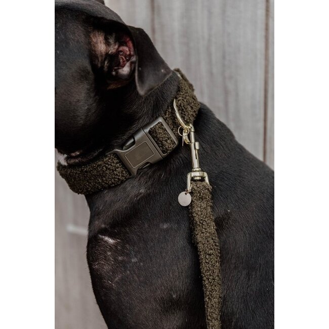 kentucky Hondenhalsband Teddy fleece