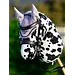 LeMieux Hobby horse Vliegenmuts