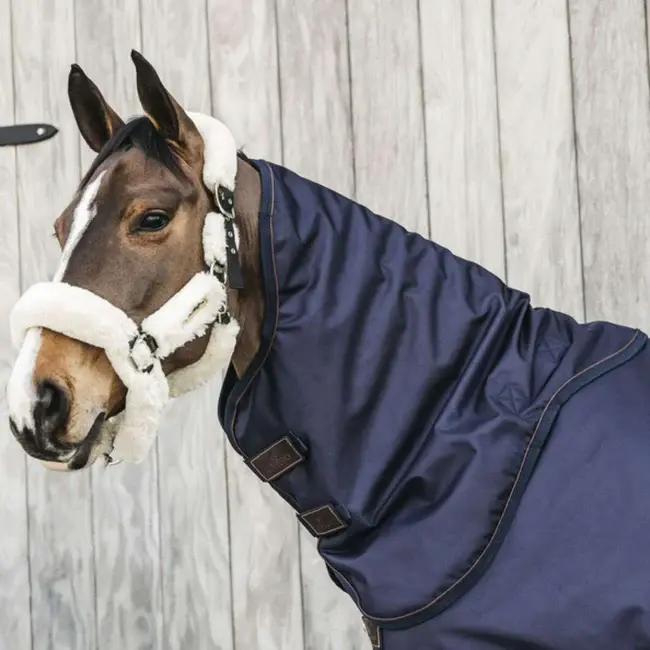 kentucky Halsdeel all wheater waterdicht pro 150g