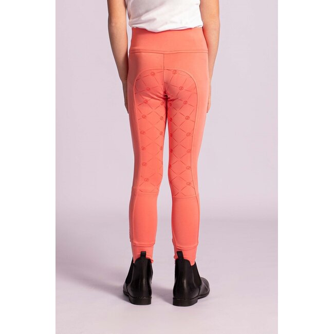 Harry's Horse Rijlegging Equitights Rookie Full Grip