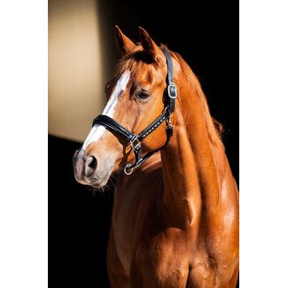 Showtime HB Showtime Lederen halster Rivet Swarovski