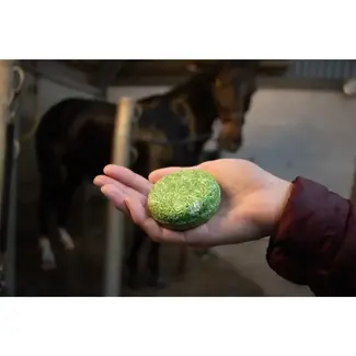 Excellent Hi Gloss Shampoo Bar Appel