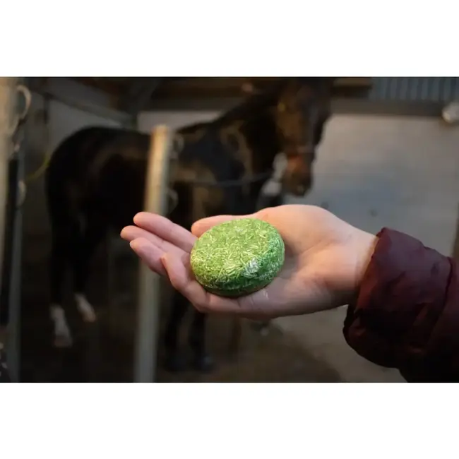 Excellent Hi Gloss Shampoo Bar Appel