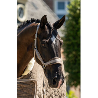 Showtime Halster Velvet