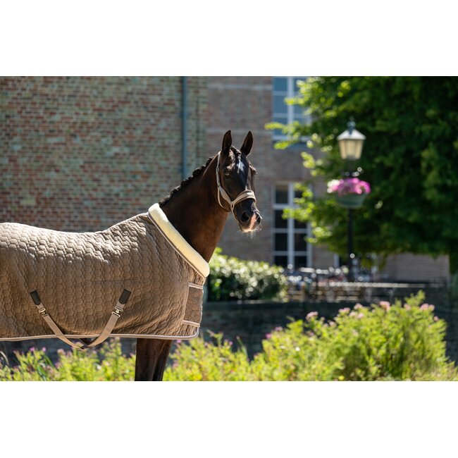 Showtime Showdeken Velvet