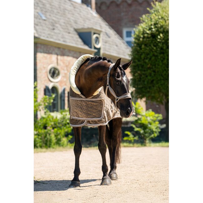 Showtime Showdeken Velvet