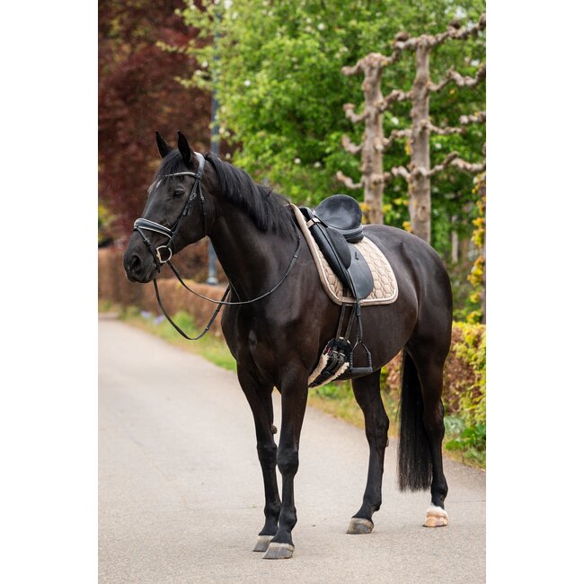 Showtime Zadeldek Velvet