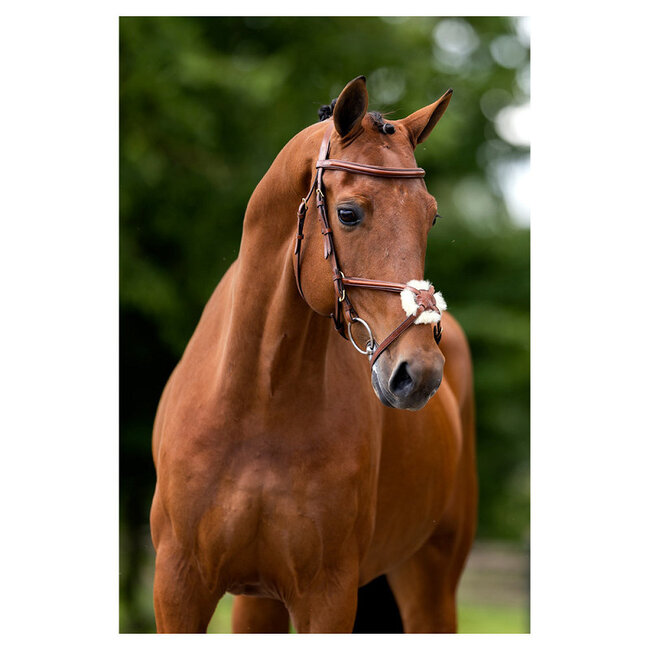 BR Hoofdstel Grantham mexicaans