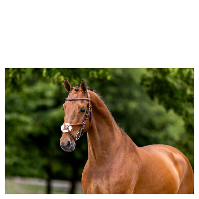 BR Hoofdstel Grantham mexicaans