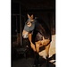 Equi-Theme Volledige halsbescherming