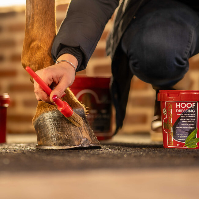 Kevin Bacon Hoefvet winter