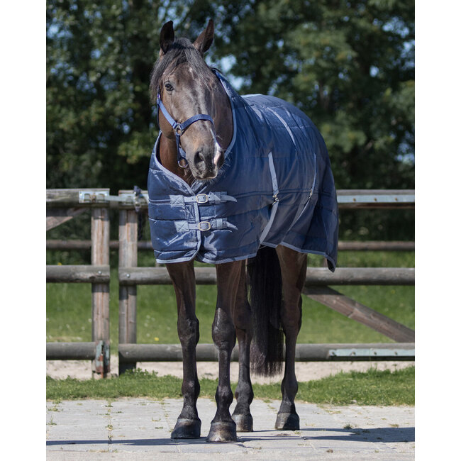 Qhp Staldeken Start Navy