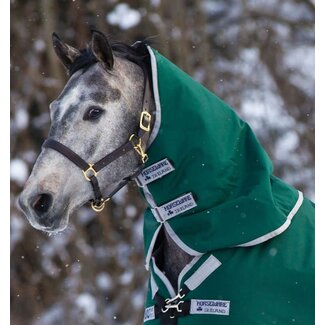 Horseware Turnout Hood 0 gram Green/Silver S