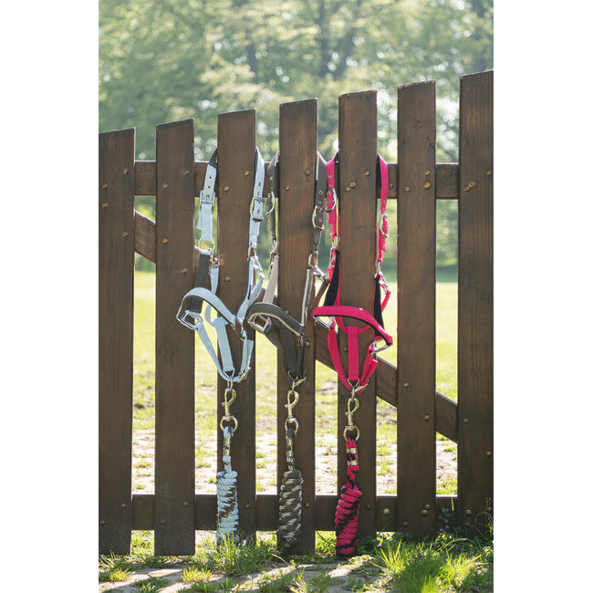 Anky Halster & halstertouw