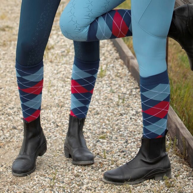 Harry's Horse Kousen Check