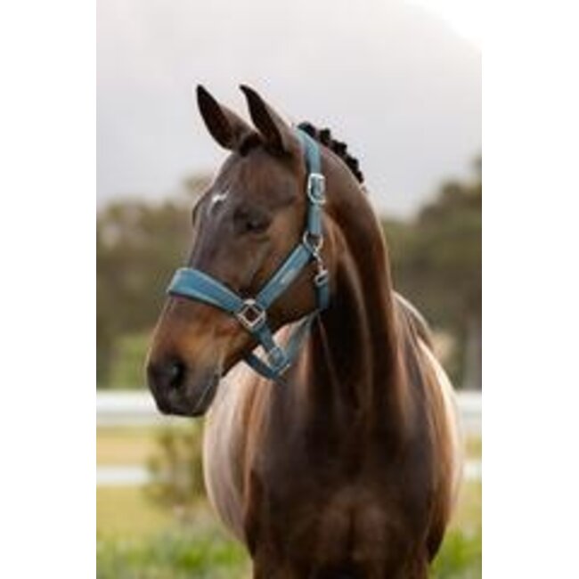 LeMieux Halster Versailles