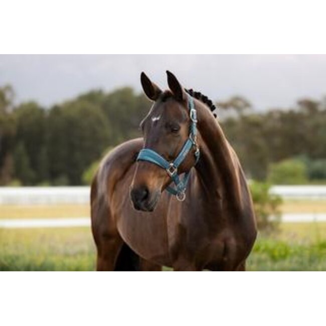 LeMieux Halster Versailles