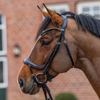 Passier Hoofdstel Move