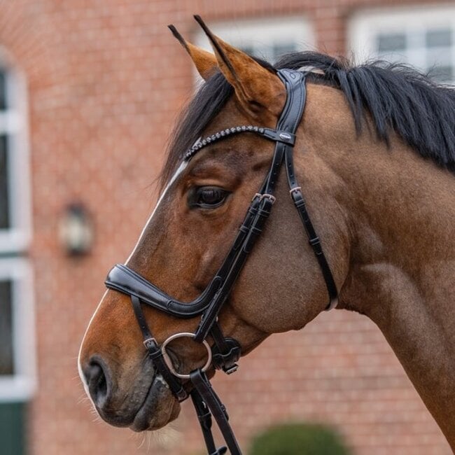 Passier Hoofdstel Move