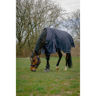Equi-Theme Regendeken 0g – Anatomic Aisance 1200D