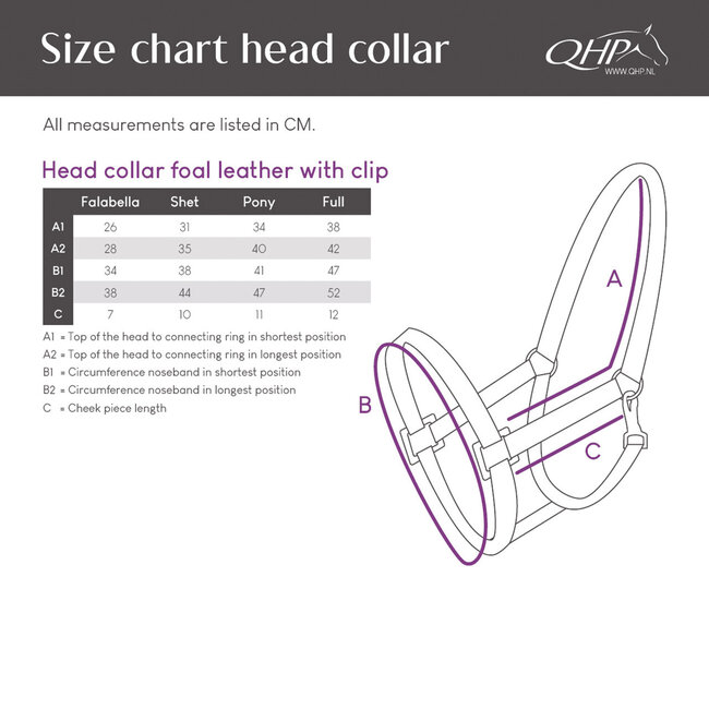 Qhp Veulenhalster leer met Clip