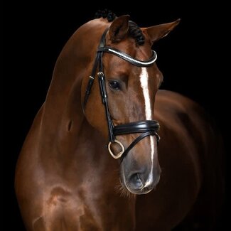 Imperial Riding Hoofdstel simpel gecombineerde neusriem IRH