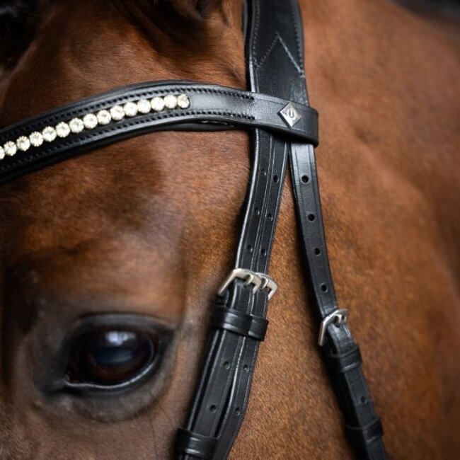 Imperial Riding Hoofdstel simpel gecombineerde neusriem IRH