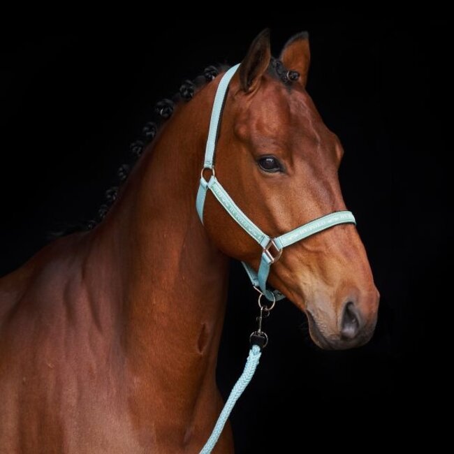 HV Polo Halster Nena