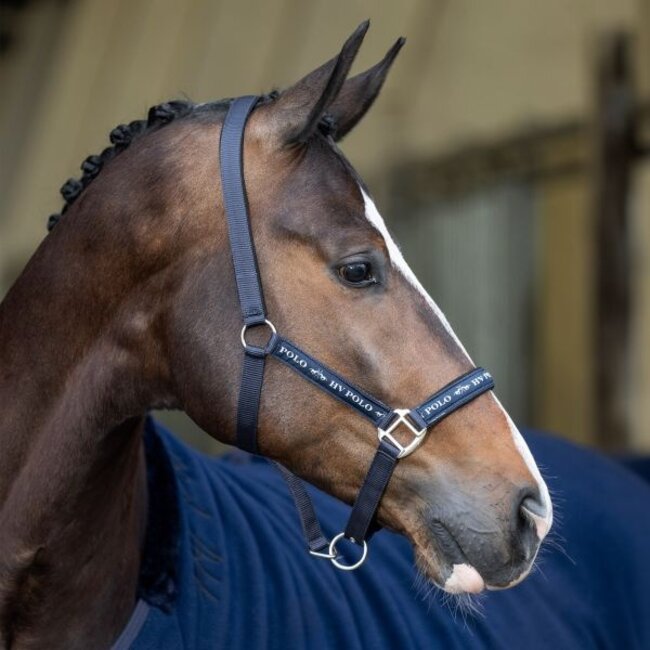 HV Polo Halster Nena