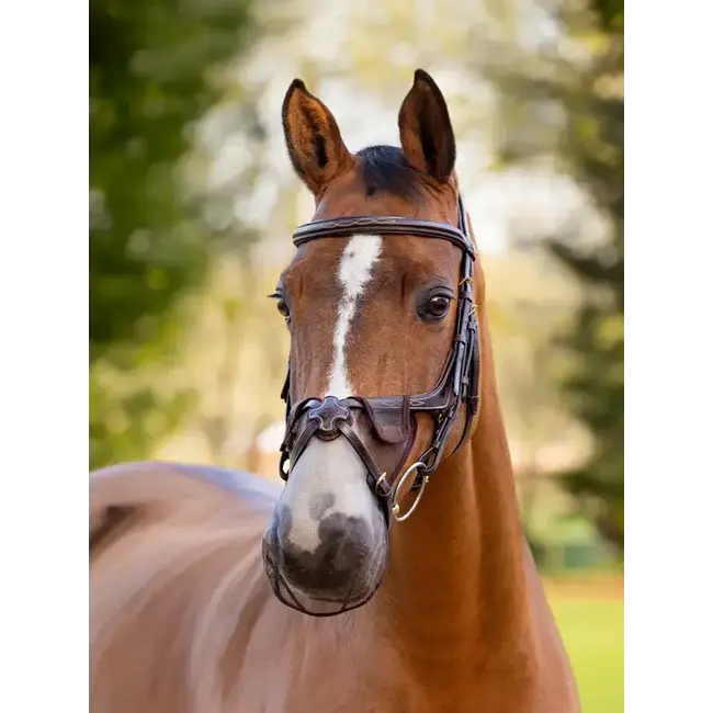 LeMieux Neusnetje mexicaans Comfort Shield 2pk