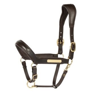 Harry's Horse Halster Leder Anatomic II