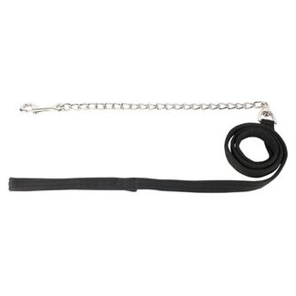 Harry's Horse Halsterlijn Ketting Musketon Zilver 2,5m