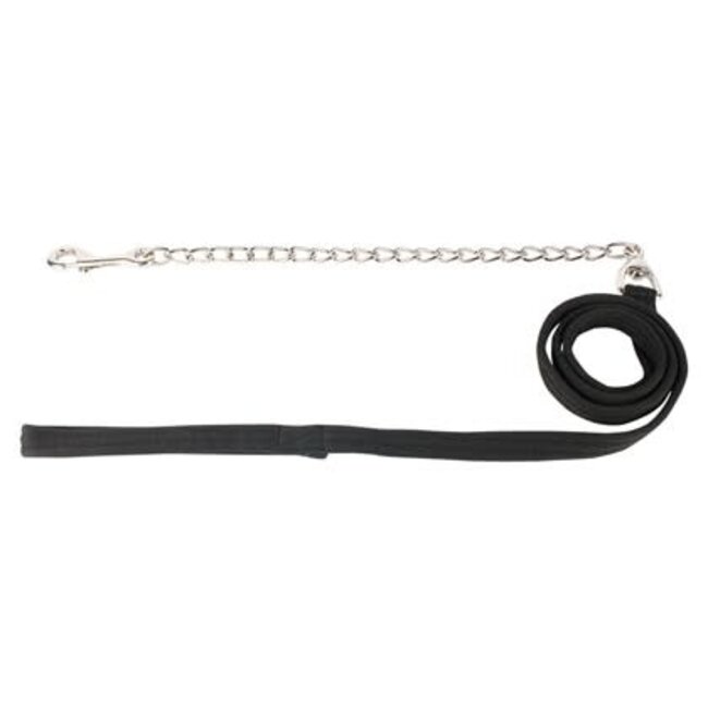 Harry's Horse Halsterlijn Ketting Musketon Zilver 2,5m