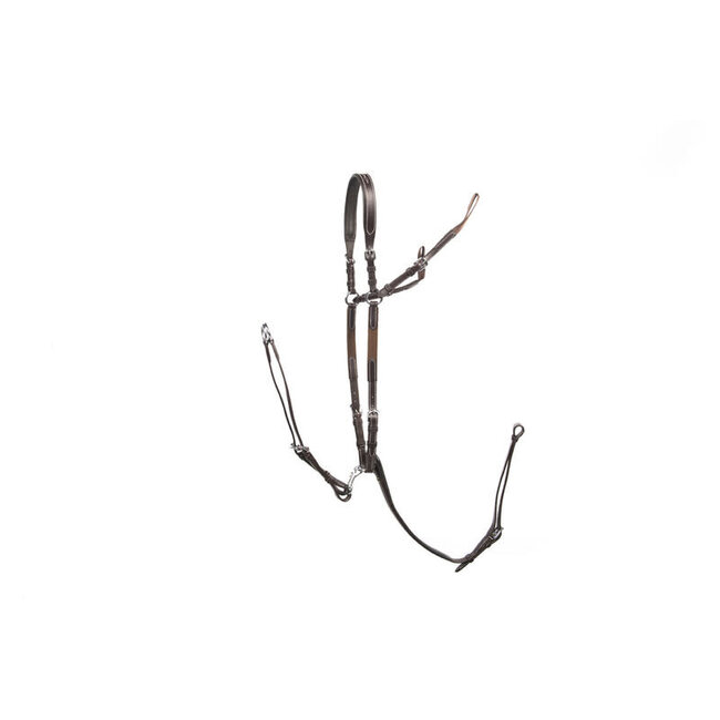 LJ  Leathers New pro jachmartingaal 3-punts