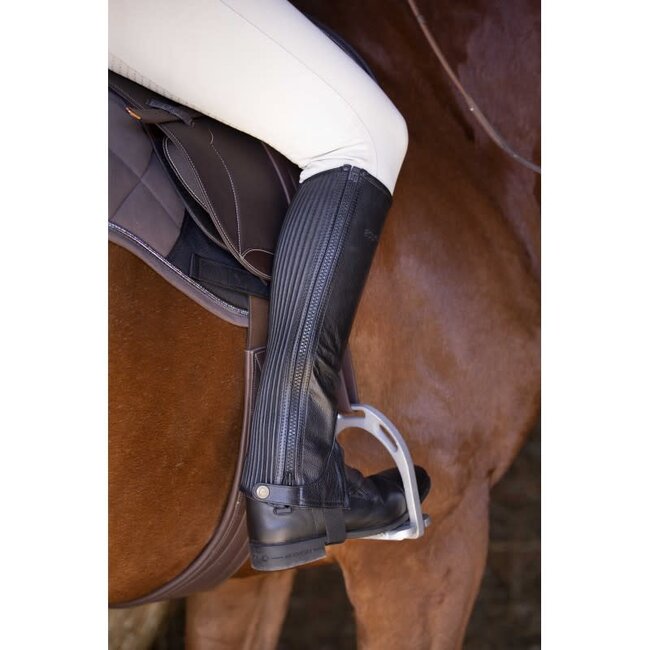 Equi-Theme Lederen minichaps