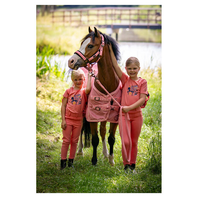 BR Mini Horse halster met touw