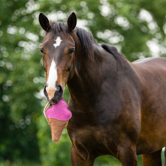 Qhp Paardenspeelgoed Snackcounter