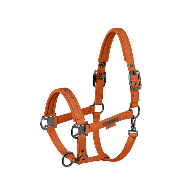 Eskadron Halster Sparkle Platinum FS26