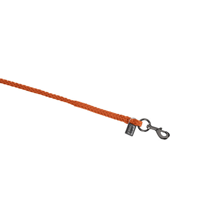 Eskadron Halstertouw Regular Platinum FS26