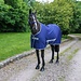 Bucas Freedom Twill Sheet