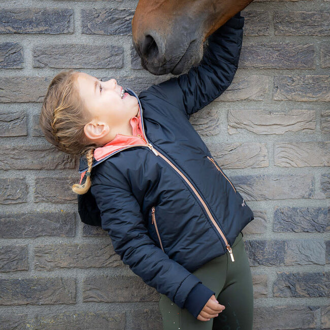 Harry's Horse Jas LouLou AW26