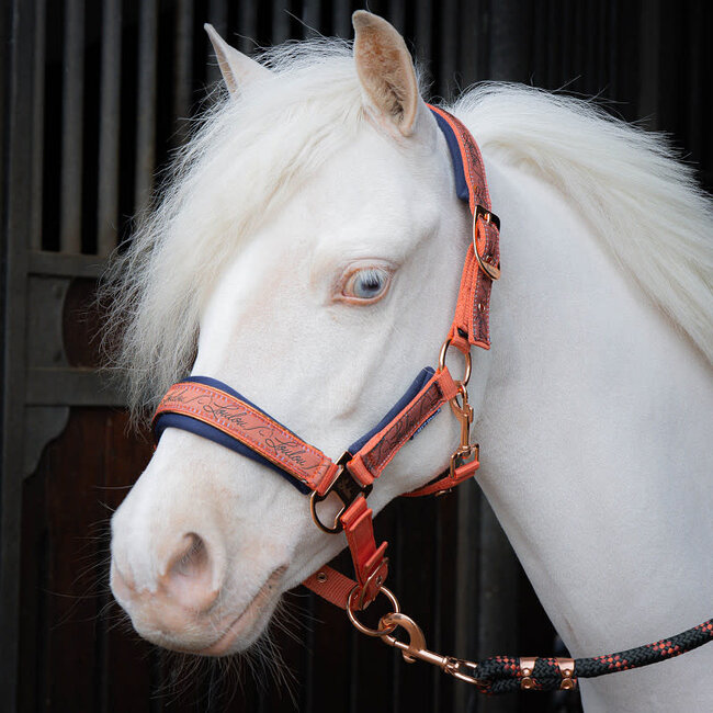 Harry's Horse Halsterset LouLou