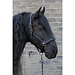 Harry's Horse Halsterset EQS