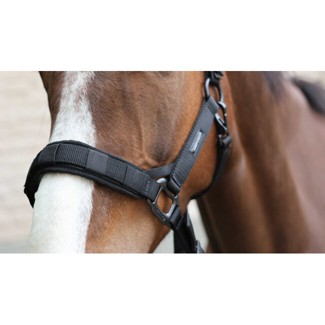 Lamicell 2-in-1 halster voor graasmasker