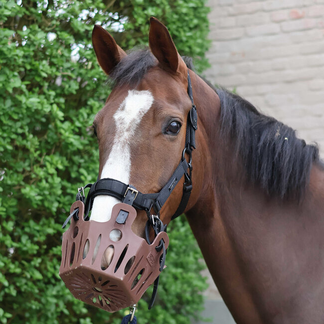 Lamicell 2-in-1 halster voor graasmasker